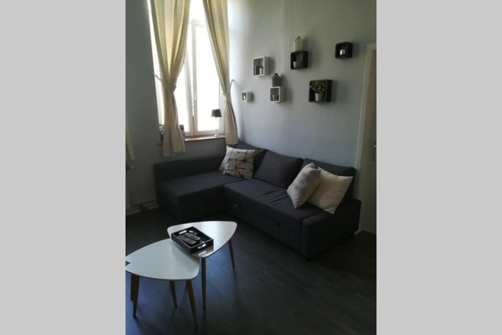 Appartement 20 Min Du Circuit Spa-Francorchamps, 韦尔维耶 外观 照片